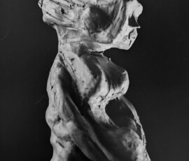 rzeźba: Marcin Iwan